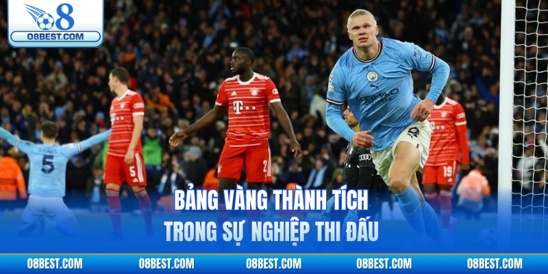 Bảng vàng thành tích trong sự nghiệp thi đấu 