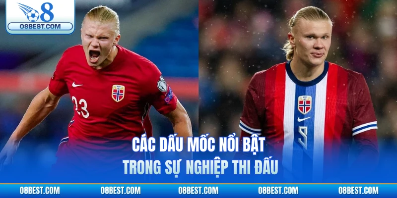 Các dấu mốc nổi bật trong sự nghiệp thi đấu 