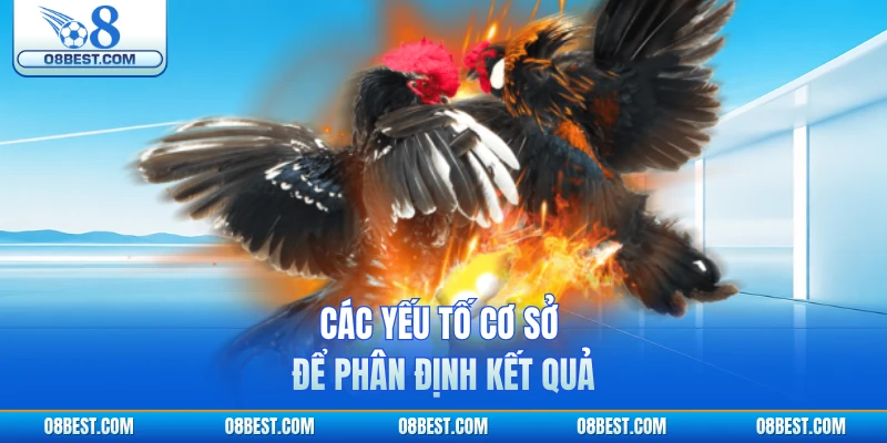 Các yếu tố cơ sở để phân định kết quả