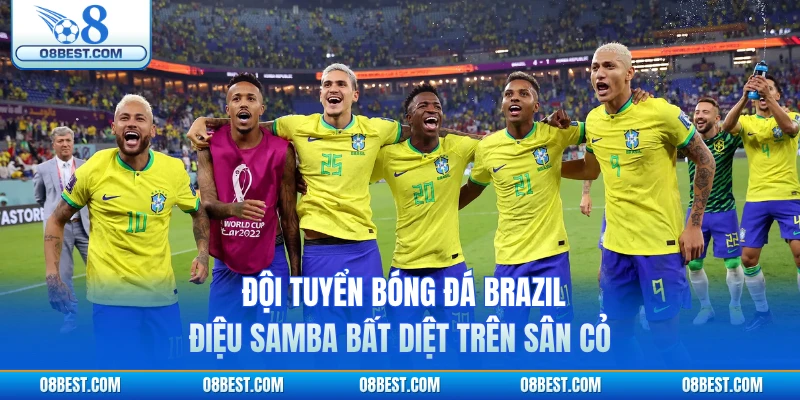 Đội Tuyển Bóng Đá Brazil - Điệu Samba Bất Diệt Trên Sân Cỏ