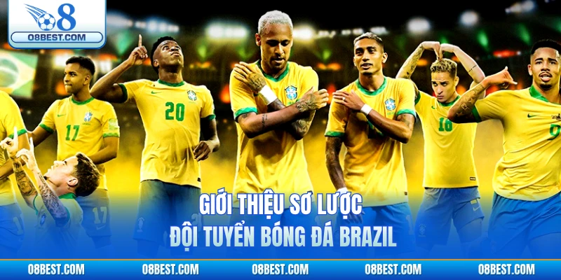 Giới thiệu sơ lược đội tuyển bóng đá Brazil